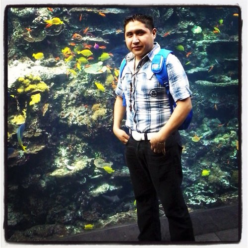 reycedillo1's profile picture. 