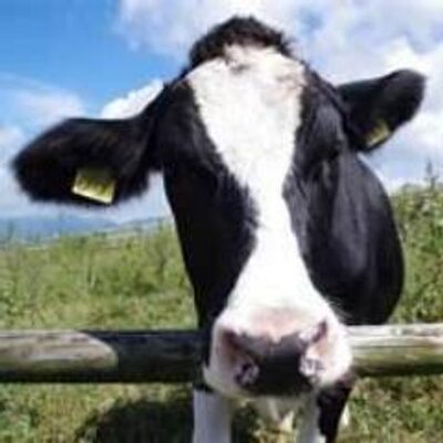 牧歌舎 Takano Twitter