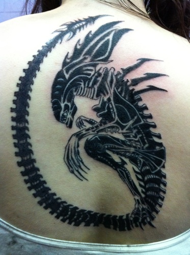 ripley_morgan's profile picture. Better than the worst at almost everything