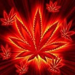 StonerzL1fe's profile picture. Just my stoned thought'z and thing'z going on in my life.  #AutoFollowBack #420 #wakeandbake #Xbox360 #Gamer #StonerNation