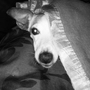 donna surman - @bubblibird - Twitter