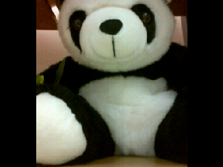Brg padu2 dkt bawah