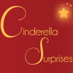 We provide a Christmas Dinner to older people in South Ayrshire who would otherwise be alone. Run 100% by Volunteers. Text CINS12 £[1/3/5/10] to 70070 to donate