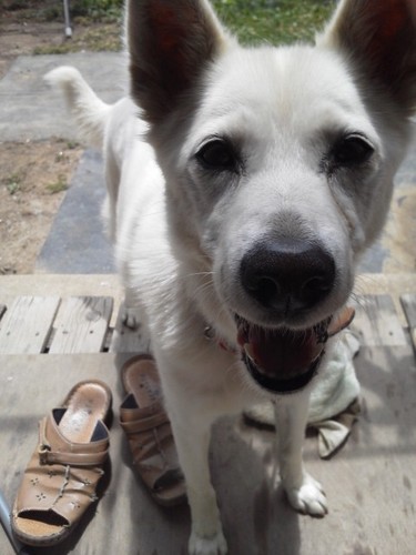 u_lovm's profile picture. 