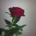 HH555SM (@abualmajd99) Twitter profile photo