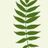 BroomgroveSheff's profile image
