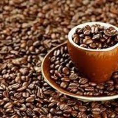 We supplying you fresh organic & hand made Arabica Gayo Coffee to produce the First Class Coffee. For those interested please contact Danny +62-81386909121