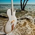 Beautiful Guitars (@beautguitars) Twitter profile photo