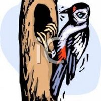 Otim Lucima (@otimlucima) 's Twitter Profile