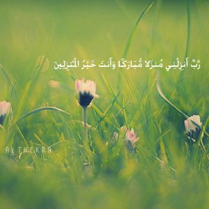 حساب يغرد فقط ب سبحان الله وبحمد سبحان الله العظيم