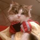 Miss Ellen (BeeBee) - @MissEllenBeeBee - Twitter