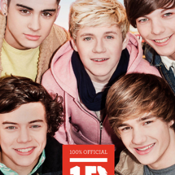 I am directioner and I love  one direction but te best is Harry Syles. Sorry I am angertinian and my inglish  isn´t verry well. bye !