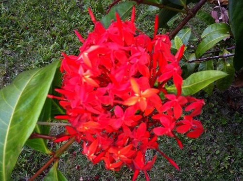 mamivemi's profile picture. 