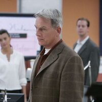 L.J Gibbs (@ncis_gibbs) 's Twitter Profile