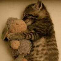 みーちゃん✳︎ちびーず♡ (@misaki_n08) 's Twitter Profile