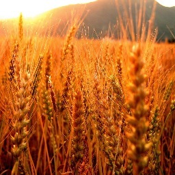 JoCrecNet's profile picture. Jo Crec és un documental en 3D sobre la bellesa de la fe que et convida a l'encontre personal amb Jesucrist.