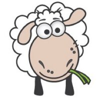 WebSchaap (@webschaap) 's Twitter Profile