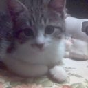 rosa rey - @rmreyborraz - Twitter