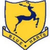 Blueharts HC (@blueharts) 's Twitter Profile