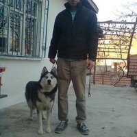 Mehmet Çulha (@genclik_190717) Twitter profile photo