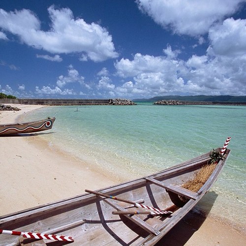 RRashid90's profile picture. 