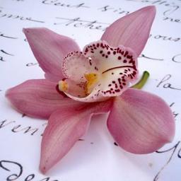 Comment garder vos orchidées en pleine santé ? Toutes les réponses sont dans le livre l'Entretien des Orchidées.