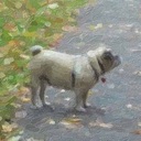 Marci Aurila - @AnimalsInArt - Twitter