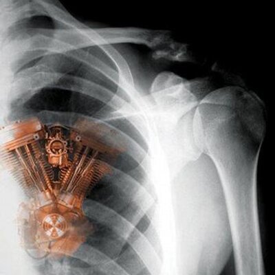 Profile Picture of Dan.lucian (@danluc1an) on Twitter