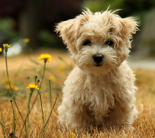 shlove0614's profile picture. 세상에 당당한 여자가되기