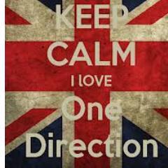 I LOVE ONE DIRECTION (L)