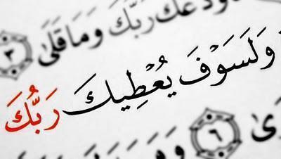 . اهوى كتابة الخواطر واضع بعضها هُنا.(قلمى طاقة النور فى حياتى ومصدر قوتى عند وهنى ..نبض احساسى على الورق,,,, كم أعشقك ياقلمي )أهلا بكل من تابعني فحيا مليون.