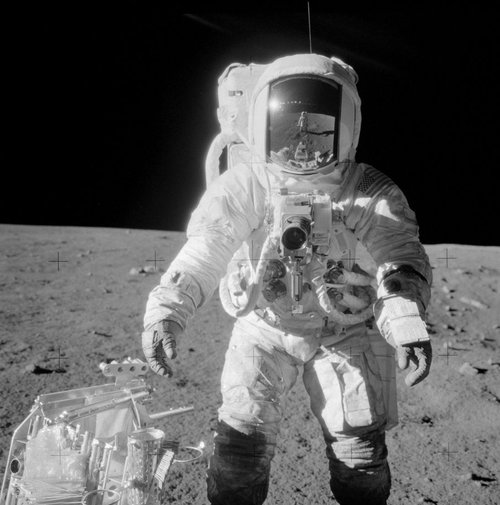 ricecakeman14's profile picture. 