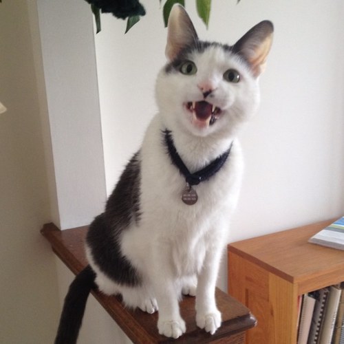 Phil_Loughran's profile picture. 