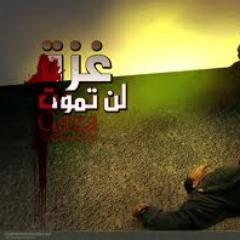 Abu_Alrayan's profile picture. 