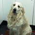 oscar (@krilinto) Twitter profile photo