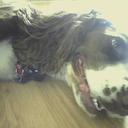 Lydia Gore - @teddy3331 - Twitter