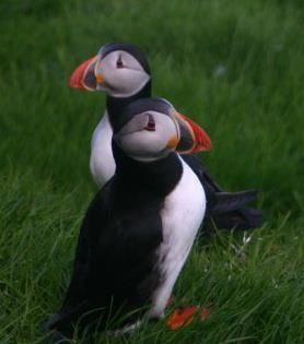 LivMCBrown's profile picture. That girl can chow...