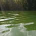 Project Watershed (@4ourwatersheds) Twitter profile photo