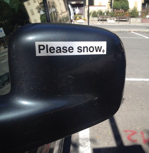 MarazziAlberto's profile picture. Guida Alpina UIAGM