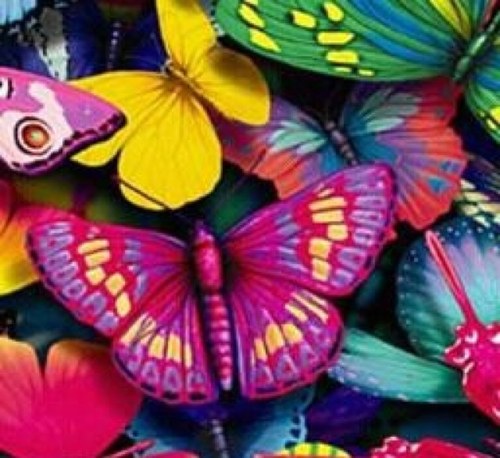 تيتشر بيولوجي 🦩🦋❤️🍃