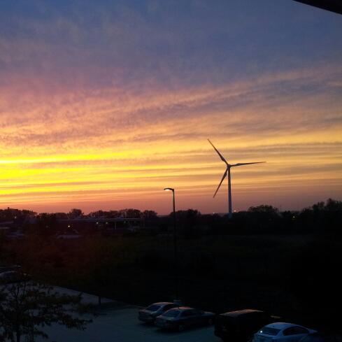 uraiseawareness's profile picture. Raising Awareness for the Environment One Tweet at a Time