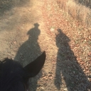 Craig Schultz - @rockymtnkng - Twitter