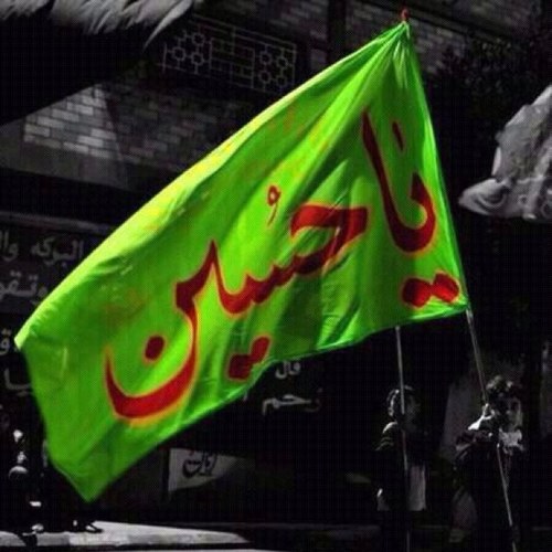 red_flower14's profile picture. 