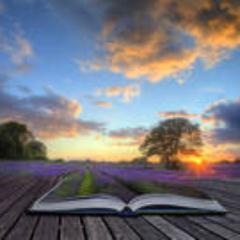 sphillips_mrs's profile picture. 