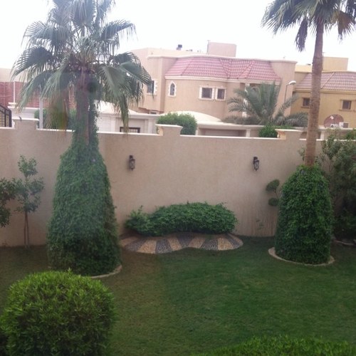 أحب ربي، ثم أمي وأحب اللي يحبوني ... عمري في شبابي وعقلي