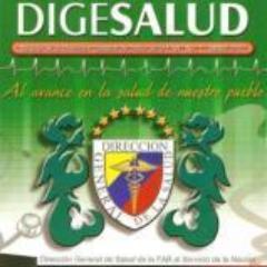 digesalud2012