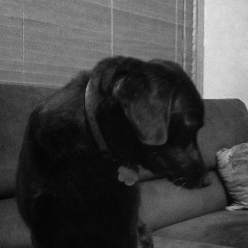 KLSVaughn's profile picture. 