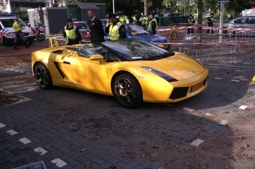 BolRaybol's profile picture. 