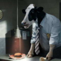 hasanchik1's profile picture. Не все, конечно, молодцы, но это и к лучшему. Ведь на всех похвал никак бы не хватило.