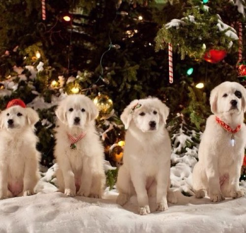 AlwaysHope8's profile picture. Believe in yourself and hope for the best! (: